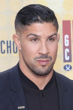MMA savaşçı Brendan Schaub