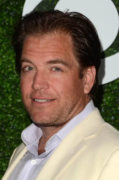 Michael Weatherly - актор — стокове фото