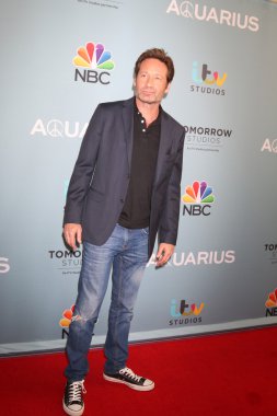 David Duchovny - aktör