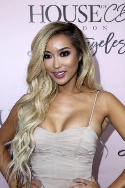 YouTube yıldızı Arika Sato