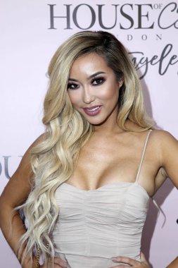 YouTube yıldızı Arika Sato