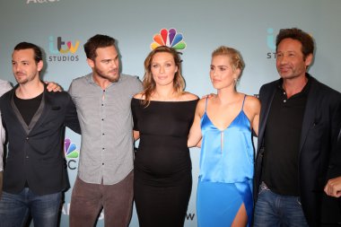 Kova döküm, Gethin Anthony, gri Damon, Michaela Mcmanus, Claire Holt, David Duchovny