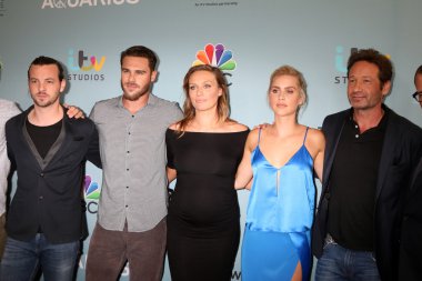 Kova döküm, Gethin Anthony, gri Damon, Michaela Mcmanus, Claire Holt, David Duchovny