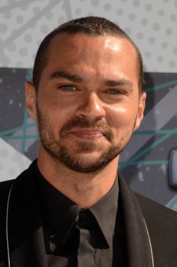 Jesse Williams - aktör