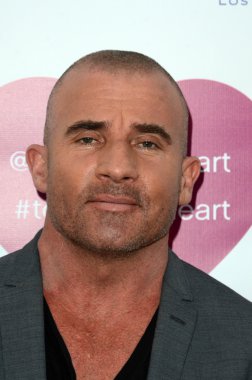 aktör Dominic Purcell