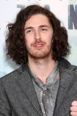 Andrew Hozier-Byrne (Hozier)