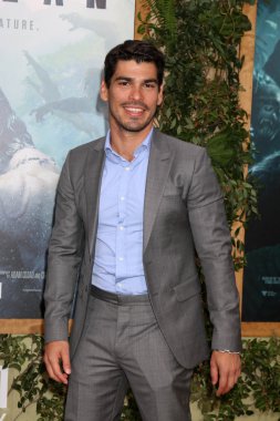 Raul Castillo - aktör