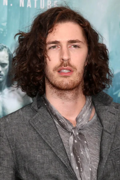 Andrew hozier-byrne) — Stockfoto