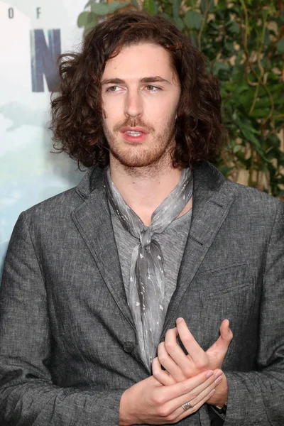 Andrew hozier-byrne) — Stockfoto