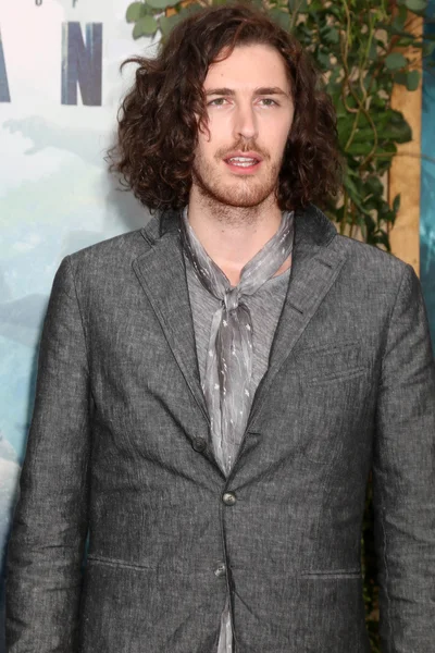 Andrew Hozier-Byrne (Hozier) — Stockfoto