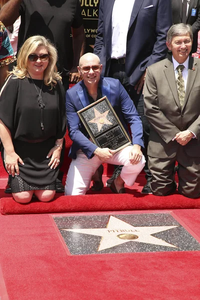 Pitbull - músico, rapper — Fotografia de Stock