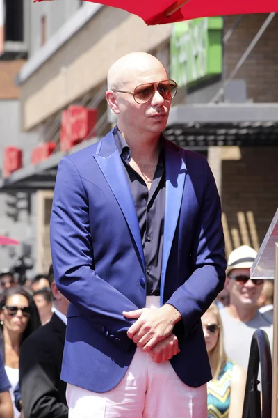 Pitbull - musician, rapper — Stock Photo, Image