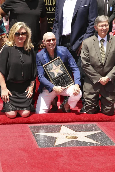 Pitbull - musician, rapper — Stock Photo, Image