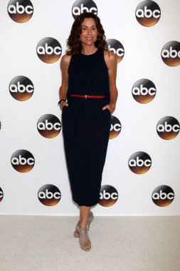 Minnie Driver - oyuncu