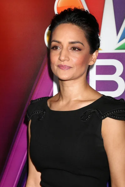 Archie Panjabi - ηθοποιός — Φωτογραφία Αρχείου