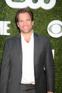 Michael Weatherly - aktör