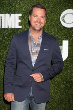 Chris O'Donnell - actor