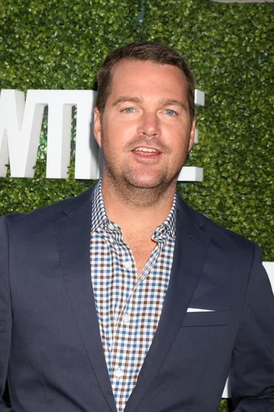 Chris o 'donnell - Schauspieler — Stockfoto