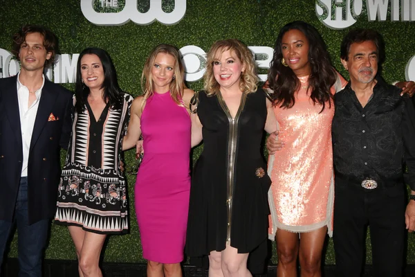 Matthew Gray Gubler, Paget Brewster, A.J. Cook, Kirsten Vangsness, Aisha Tyler, Joe Mantegna — Foto de Stock