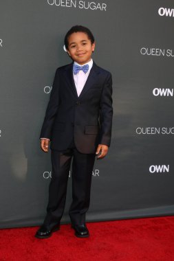 aktör Ethan Hutchison