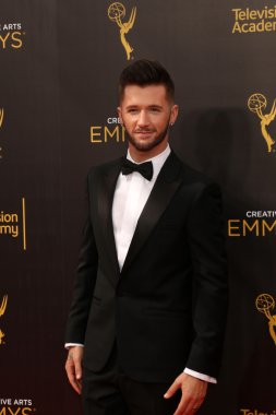 aktör Travis Wall