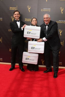 Earnst n Genç Muhasebeciler