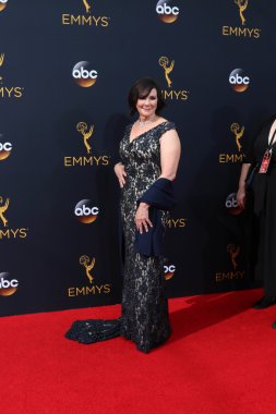 Marcia Clark savcı ve televizyon muhabiri