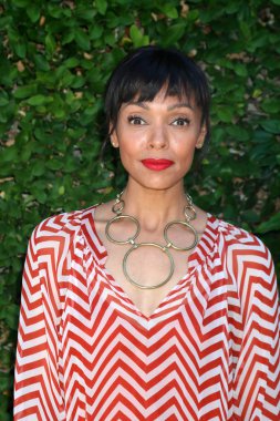 sinema oyuncusu Tamara Taylor