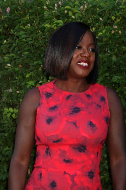 sinema oyuncusu Viola Davis