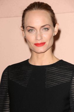 Amber Valletta