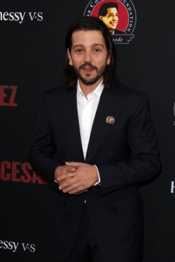 Diego Luna