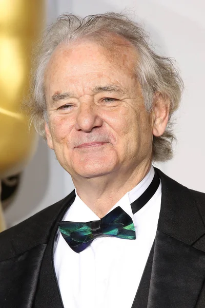 Bill Murray. — Foto de Stock