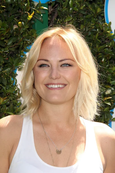 Malin Akerman — Stock Photo, Image