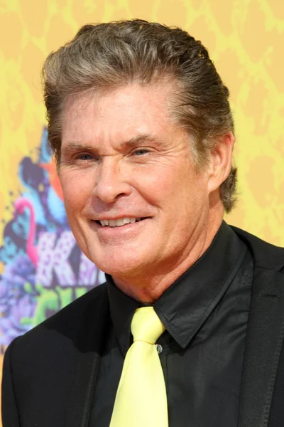 David Hasselhoff — Stockfoto