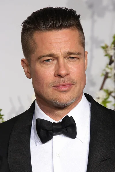 Brad Pitt - Stock-foto