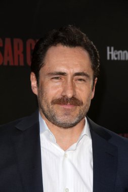 Demian Bichir