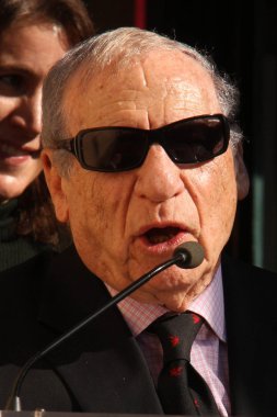 Mel Brooks