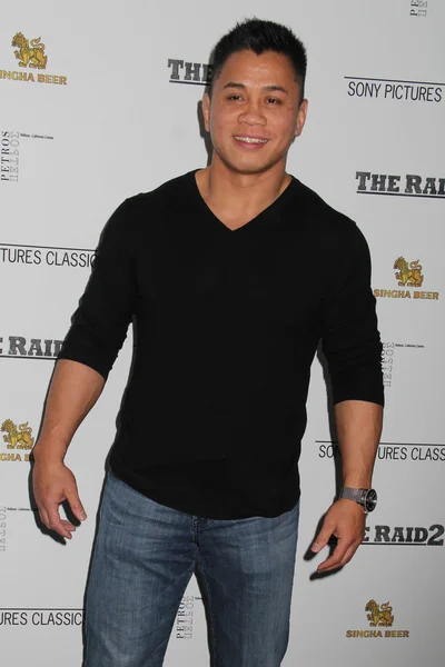 Cung Le — Stock Photo, Image