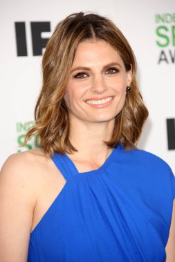 Stana Katic