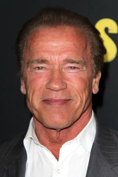 Arnold Schwarzenegger — Stok fotoğraf