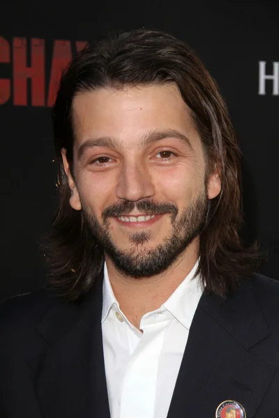 Diego Luna — Stockfoto