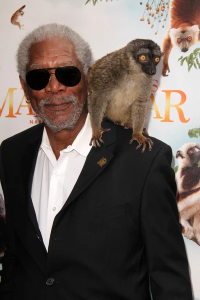 Morgan Freeman — Stock Photo, Image