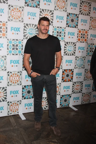 David Boreanaz — Stockfoto