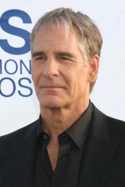 Scott Bakula — Photo