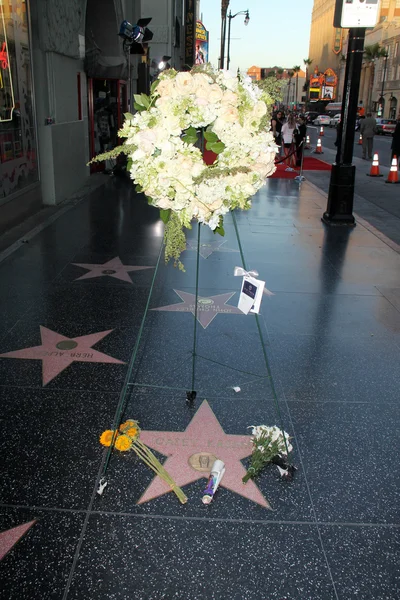 Flowers on Casey Kasem's Star — Stock Photo, Image