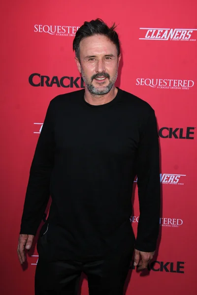 David Arquette — Stock Photo, Image