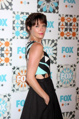 Katie Aselton