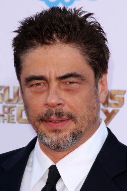 Benicio Del Toro