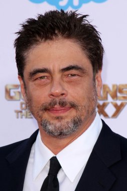 Benicio Del Toro