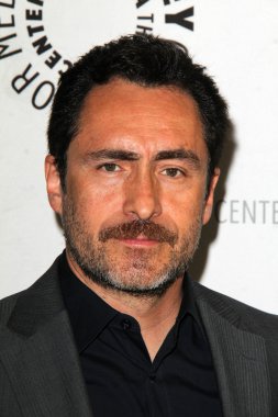 Demian Bichir